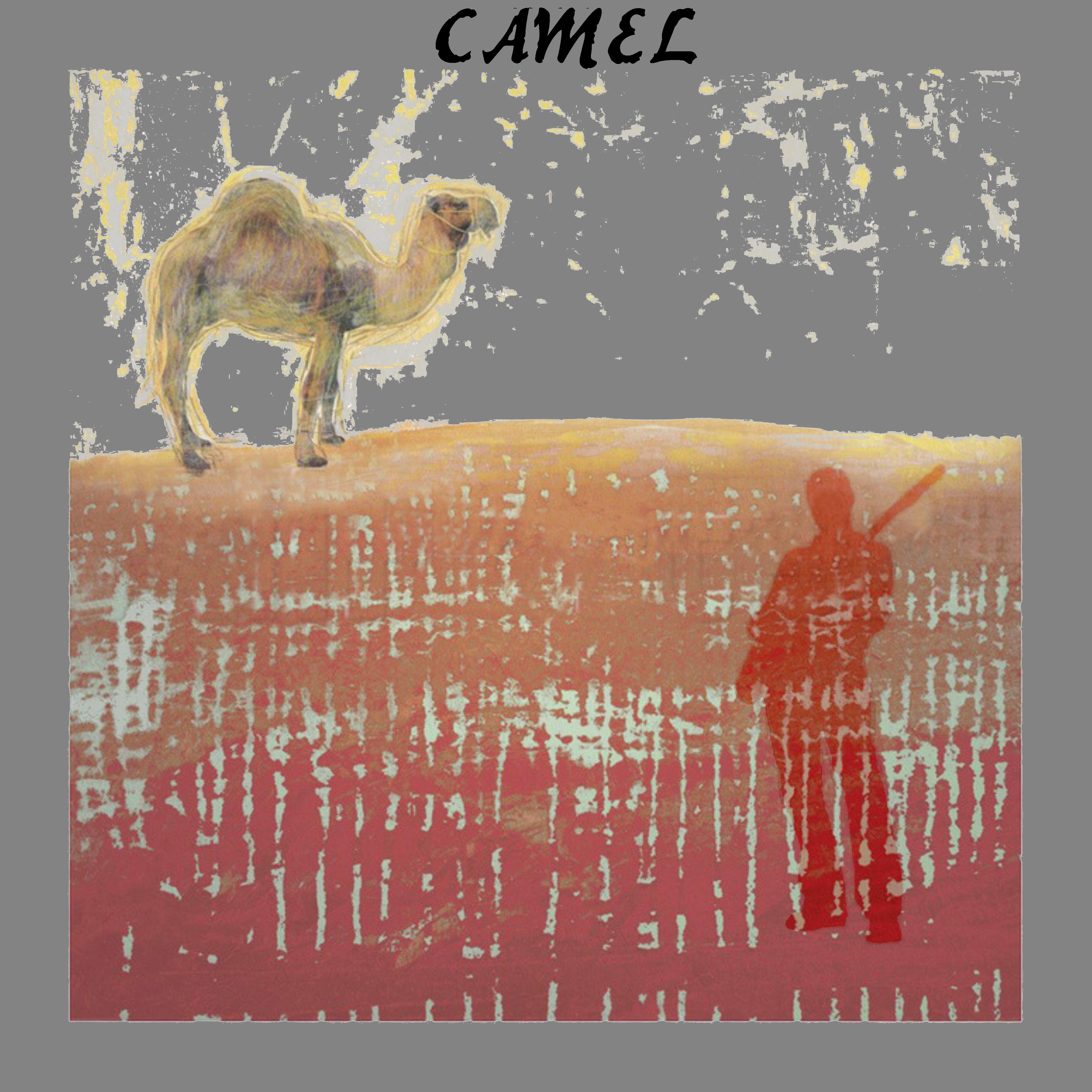 Camel2014-03-04VooruitGentBelgium (2).jpg